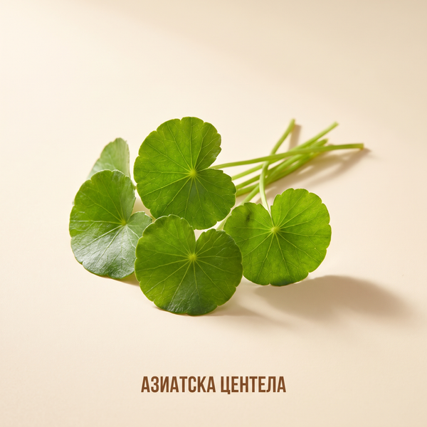 Азиатска центела