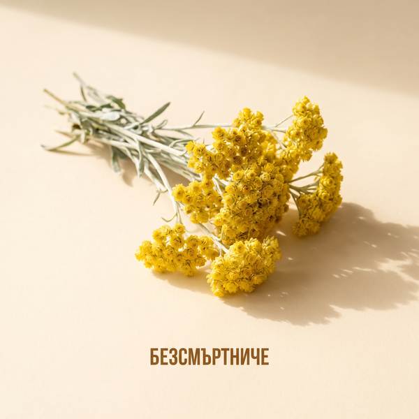 Безсмъртниче