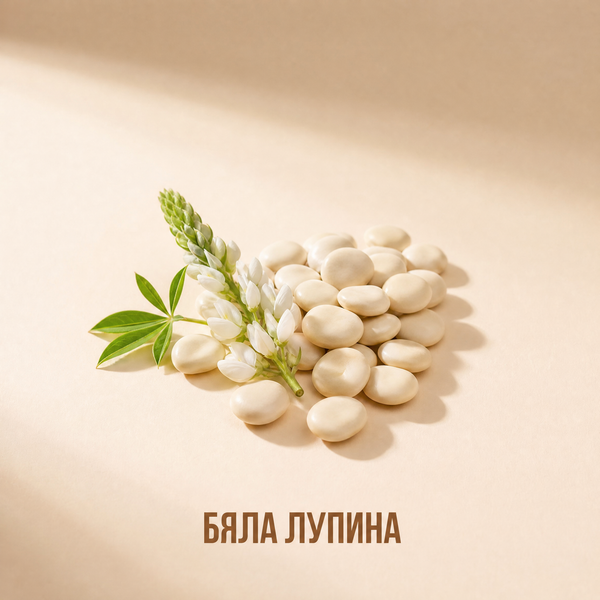 Бяла лупина