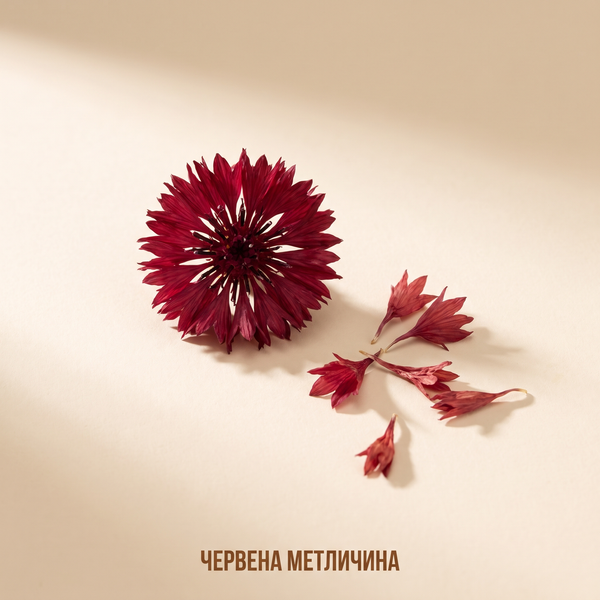 Червена метличина