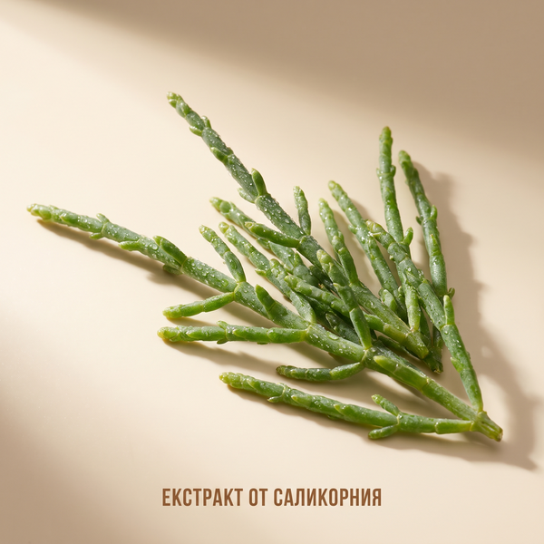 Екстракт от саликорния