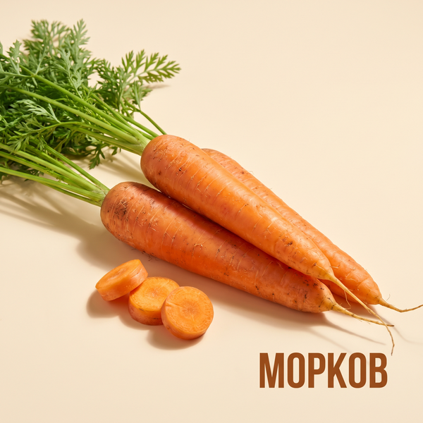 Морков