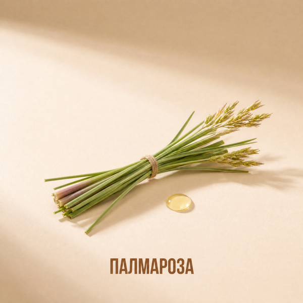 Палмароза
