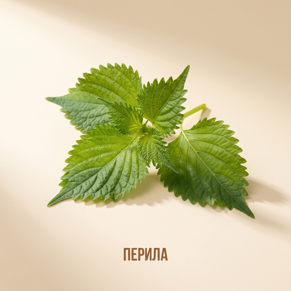 Перила
