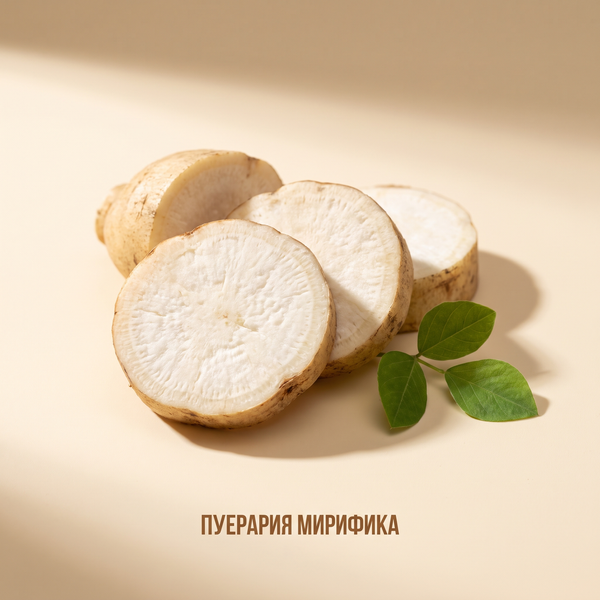Пуерария мирифика