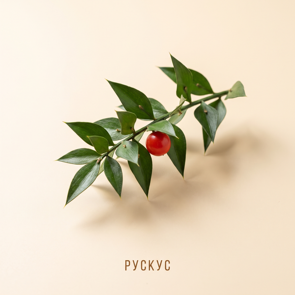 Рускус