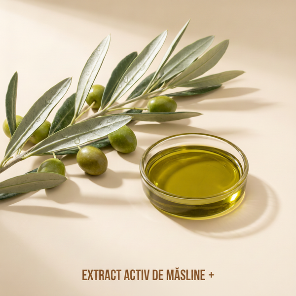 Extract activ de măsline +