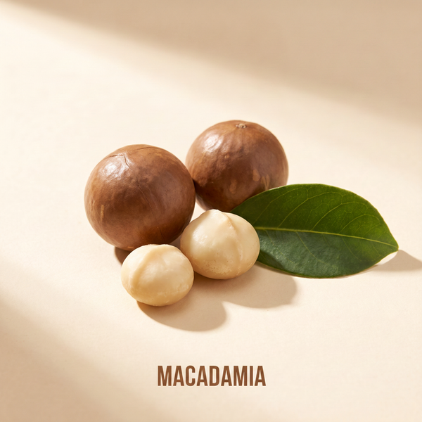 Macadamia