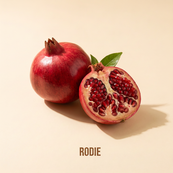 Rodie
