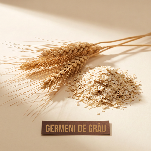 Germen de grâu