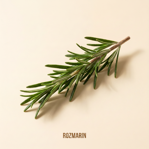 Rozmarin