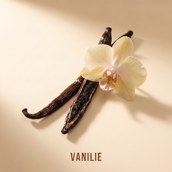 Vanilie